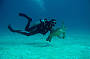 3 Day/ 2 Night Trip Dive Trip - MV Kangaroo Explorer (qualified divers only)