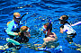 Guided Snorkel Tours
