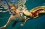 2 Day Great Barrier Reef & Waterfalls. Wildlife, Paronella Park tour